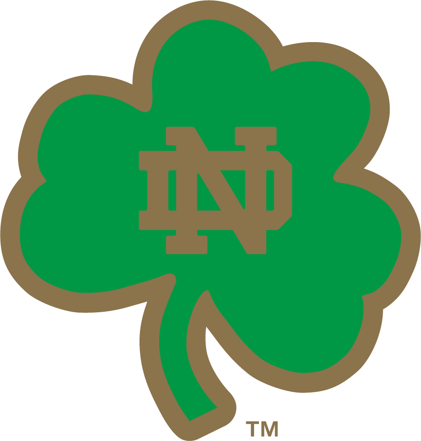 Notre Dame Fighting Irish 2006-2015 Secondary Logo diy DTF decal sticker